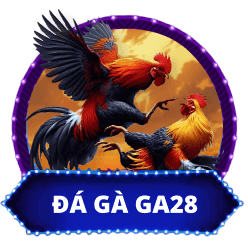 ĐÁ GÀ GA28