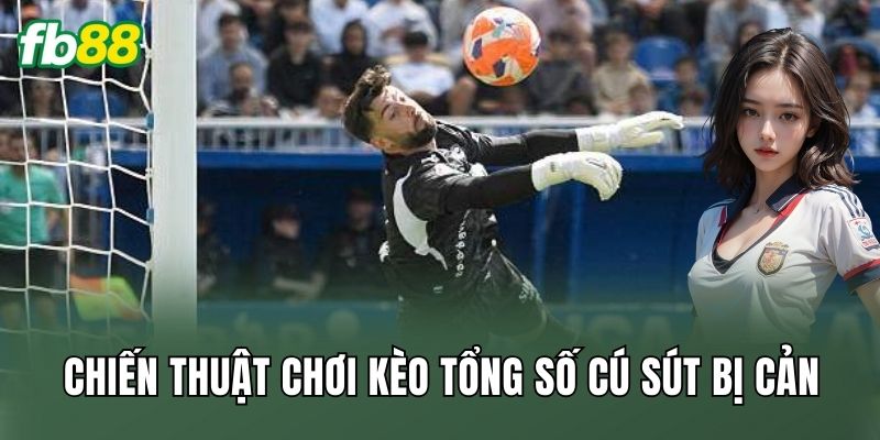 Đọc Trận Chuẩn Với Kèo Tổng Số Cú Sút Bị Cản Thực Chiến 3 Chiến thuật chơi kèo tổng số cú sút bị cản